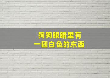 狗狗眼睛里有一团白色的东西