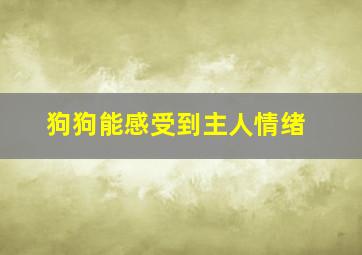 狗狗能感受到主人情绪