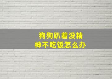 狗狗趴着没精神不吃饭怎么办