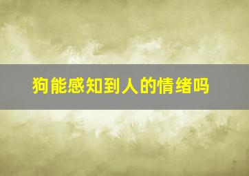 狗能感知到人的情绪吗