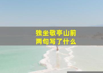 独坐敬亭山前两句写了什么