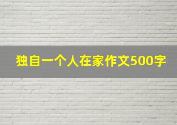 独自一个人在家作文500字