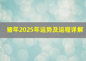 猪年2025年运势及运程详解