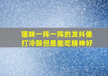 猫咪一阵一阵的发抖像打冷颤但是能吃精神好