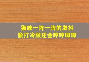 猫咪一阵一阵的发抖像打冷颤还会哼哼唧唧