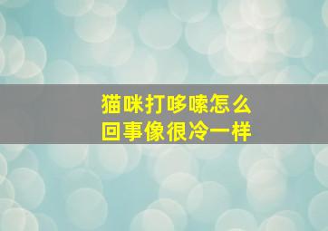 猫咪打哆嗦怎么回事像很冷一样