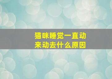 猫咪睡觉一直动来动去什么原因