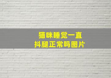 猫咪睡觉一直抖腿正常吗图片