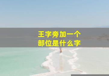 王字旁加一个部位是什么字