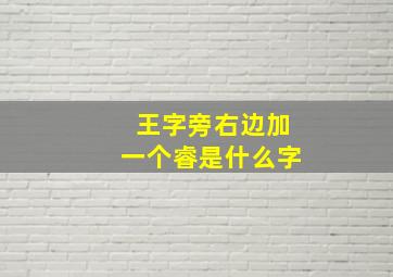 王字旁右边加一个睿是什么字