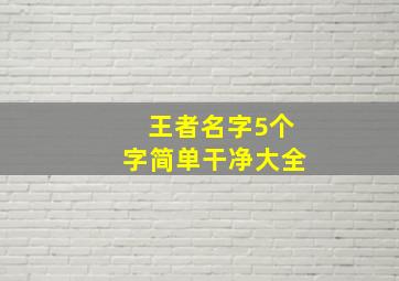 王者名字5个字简单干净大全