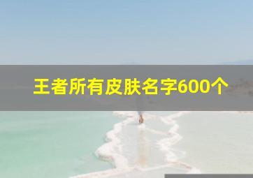 王者所有皮肤名字600个