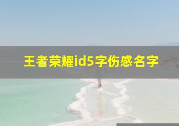 王者荣耀id5字伤感名字