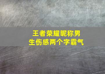 王者荣耀昵称男生伤感两个字霸气