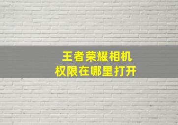 王者荣耀相机权限在哪里打开