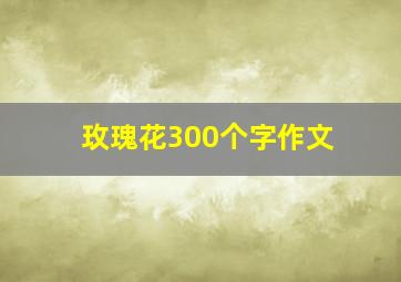 玫瑰花300个字作文