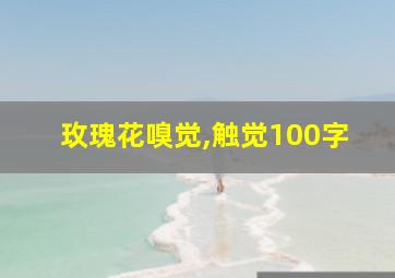 玫瑰花嗅觉,触觉100字