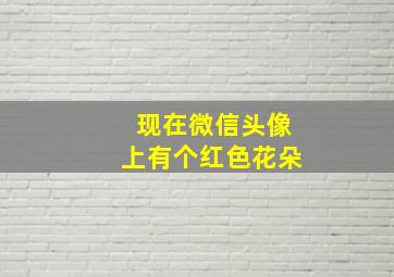 现在微信头像上有个红色花朵