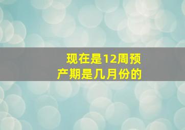 现在是12周预产期是几月份的