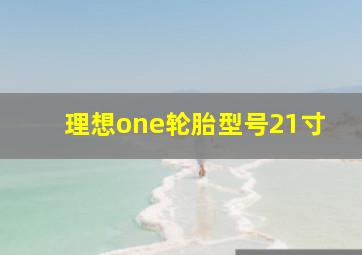 理想one轮胎型号21寸