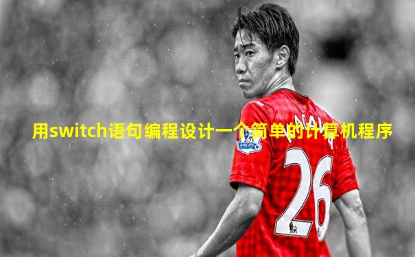 用switch语句编程设计一个简单的计算机程序