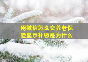 用微信怎么交养老保险显示补缴是为什么