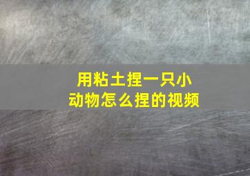 用粘土捏一只小动物怎么捏的视频