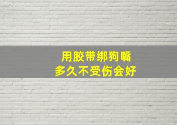 用胶带绑狗嘴多久不受伤会好