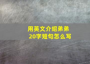 用英文介绍弟弟20字短句怎么写