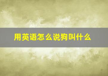 用英语怎么说狗叫什么