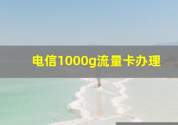 电信1000g流量卡办理