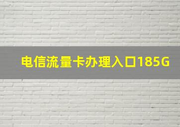 电信流量卡办理入口185G