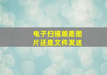 电子扫描版是图片还是文件发送