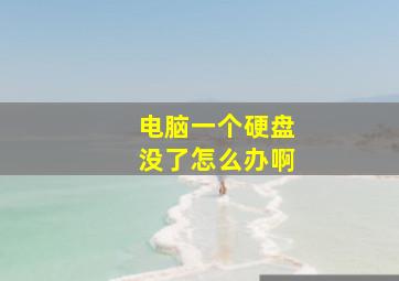 电脑一个硬盘没了怎么办啊