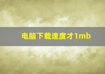 电脑下载速度才1mb