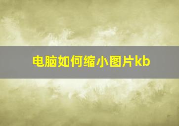 电脑如何缩小图片kb