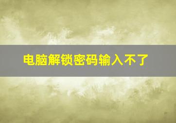 电脑解锁密码输入不了