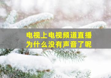 电视上电视频道直播为什么没有声音了呢