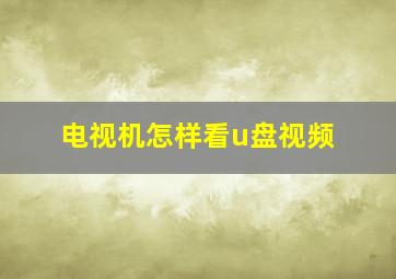 电视机怎样看u盘视频