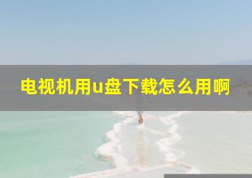 电视机用u盘下载怎么用啊