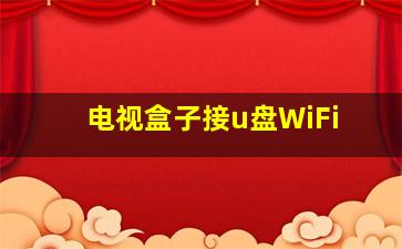 电视盒子接u盘WiFi