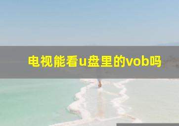 电视能看u盘里的vob吗