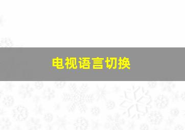 电视语言切换