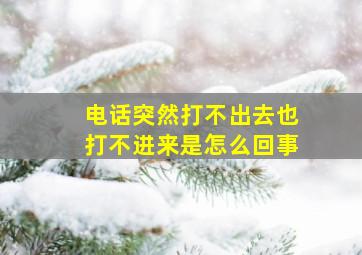 电话突然打不出去也打不进来是怎么回事