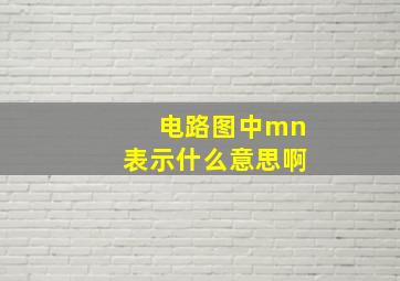 电路图中mn表示什么意思啊