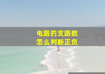 电路的支路数怎么判断正负