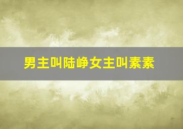 男主叫陆峥女主叫素素