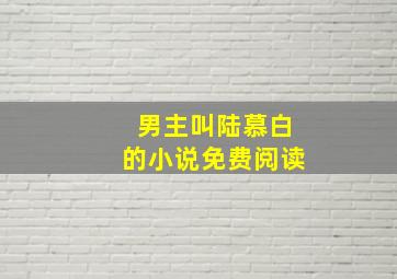 男主叫陆慕白的小说免费阅读