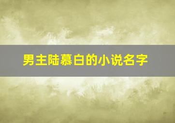 男主陆慕白的小说名字