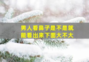 男人看鼻子是不是就能看出来下面大不大